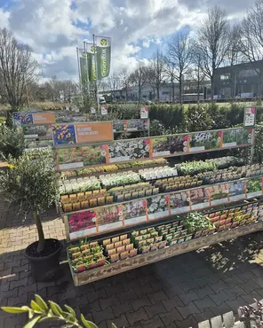 Ontdek onze tuinplantenafdeling!