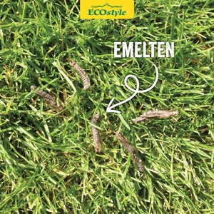 Aaltjes tegen emelten 50mln/100m2 - afbeelding 3