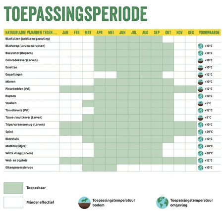 Aaltjes tegen mieren 25mln/25 nesten - afbeelding 7