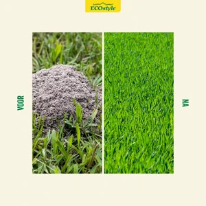 Aaltjes tegen mieren 5mln/5 nesten - afbeelding 3