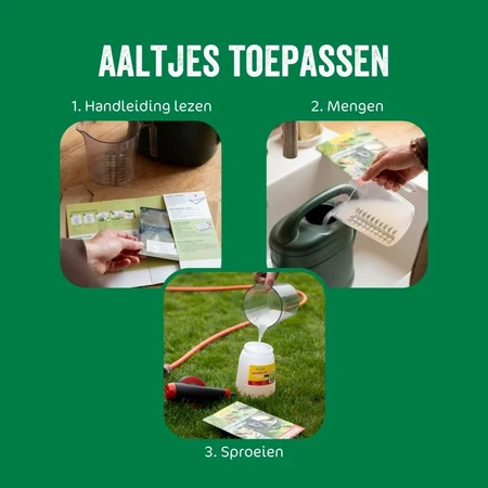 Aaltjes tegen mieren 5mln/5 nesten - afbeelding 4