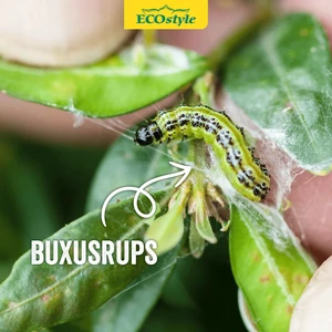 Aaltjes tegen rubsen larven buxusmot 20m2 - afbeelding 3