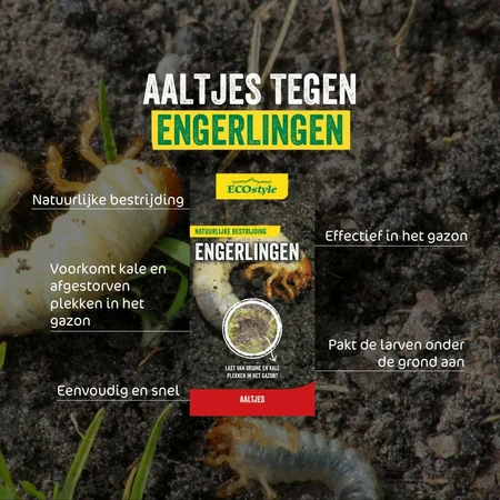 Aaltjes tegen engerlingen 25mln/50m2 - afbeelding 2
