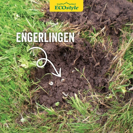 Aaltjes tegen engerlingen 5mln/10m2 - afbeelding 3