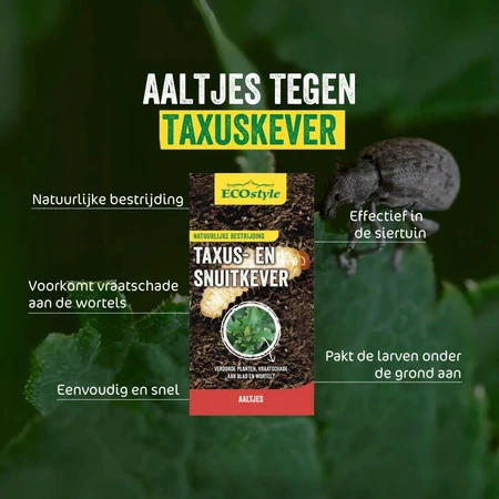 Aaltjes tegen taxus- en snuitkever 10m2 - afbeelding 2