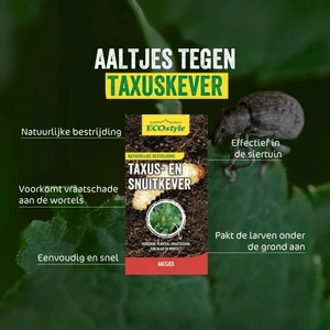 Aaltjes tegen taxus- snuitkever 50m2 - afbeelding 2