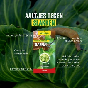 Aaltjes tegen slakken 24mln/80m2 - afbeelding 2