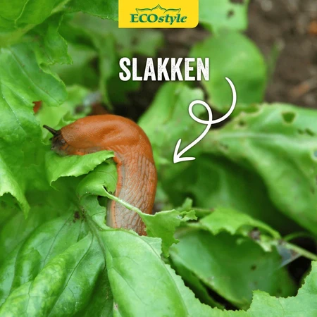 Aaltjes tegen slakken 24mln/80m2 - afbeelding 3