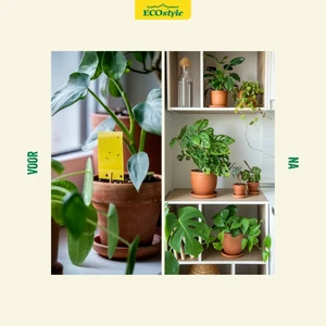 Aaltjes varenrouwmug/trips 25mln/25m2 - afbeelding 4