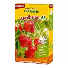 Aardbeien-az 800g