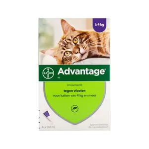 Advantage Kat 80 >4kg Tegen Vlooien (4 pipetten)