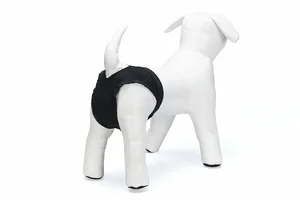 BEEZTEES Loopsheidbroekje m zwart 32-37