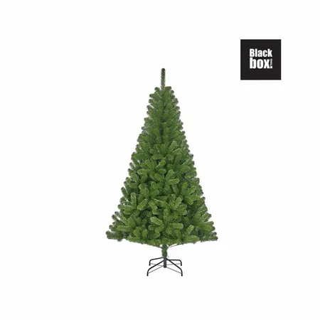 Boom Charlton D127 H215cm Groen - afbeelding 1