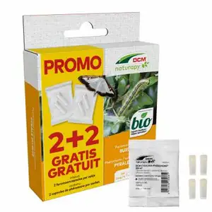 Buxus feromoon actie 2+2