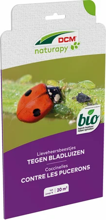 DCM Lieveheersbeestjes tegen bladluizen in de sier- en moestuin