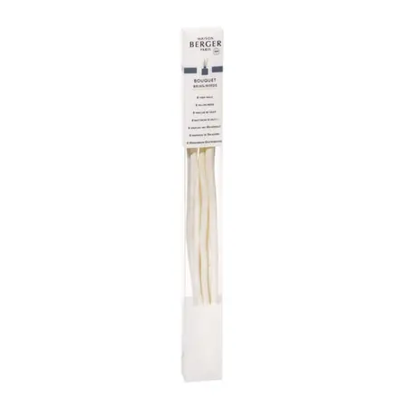 Etui 6 wilgenhoutensticks 27cm voor parfumsticks