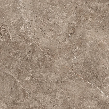 GeoCeramica® 100x100x4 Landstone Earth (Dark-Taupe)