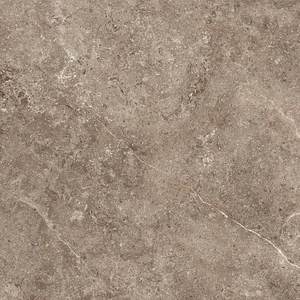 GeoCeramica® 100x100x4 Landstone Earth (Dark-Taupe)