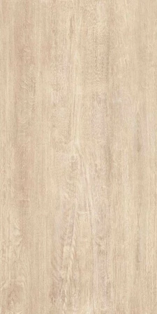 GeoCeramica® 120x30x4 Havanna Wood