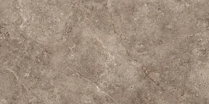 GeoCeramica® 60x60x4 Landstone Earth