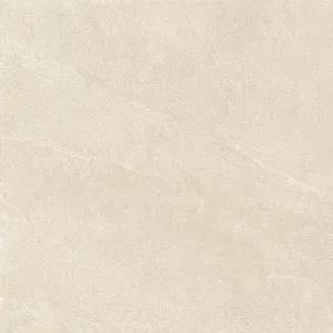 GeoCeramica® 60x60x4 Motley Monterey