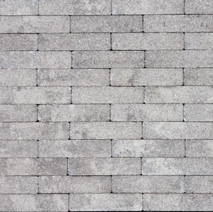 Geoklinker Plus ZF 30x20x6 Elba