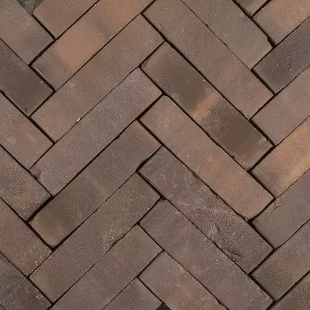 Hollandse Streken Waalformaat 5x20x6 peel paars/bruin
