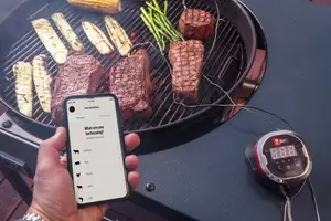 Igrill 2 bluetooth+app tot 4 sens. - afbeelding 2