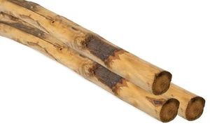 Ronde paal tamme kastanjehout geschild, Ø 8/10x250cm.