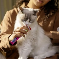 Kattensnacks