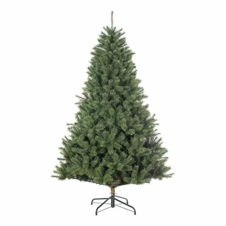 Boom Carmanah D137 H215cm Groen