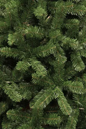 BLACK BOX Kerstboom charlton d91h155cm groen - afbeelding 2