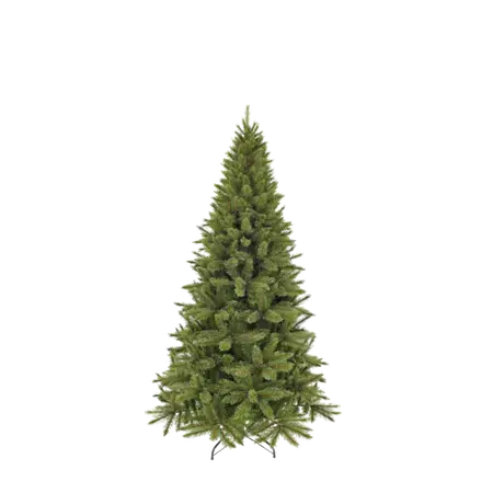 Boom forest fir D102 H185cm Groen - afbeelding 1
