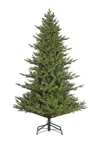 Boom Orillia D102 H155cm Groen