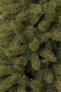 Boom Toronto D102 H155cm Groen - afbeelding 2
