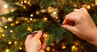 Kerstverlichting