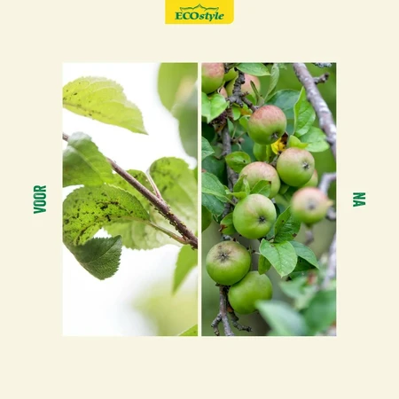 Larven lieveheersbeestje t/bldluis 100st - afbeelding 4