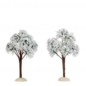 Luville originals Bergpijnboom 2st