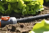 Microdrip