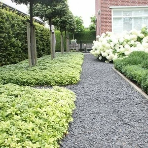 Nidaplastplaat 3 cm 120x80 cm wit - afbeelding 2