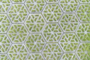 oud hollandse eco-tegel creme 37,5x37,5x7cm - afbeelding 2
