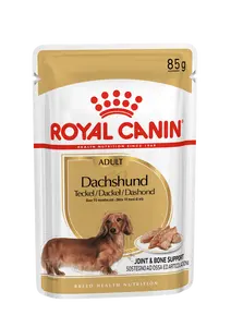 Royal canin Dachshund Adult Wet (12 x 85gr)