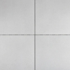 Trippel T 60x30x4 Licht grijs