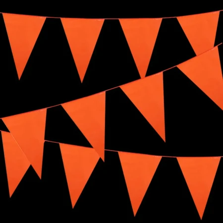 Vlaggenlijn oranje 10 meter